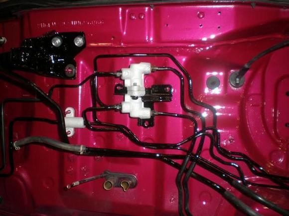 Painted Brake Lines