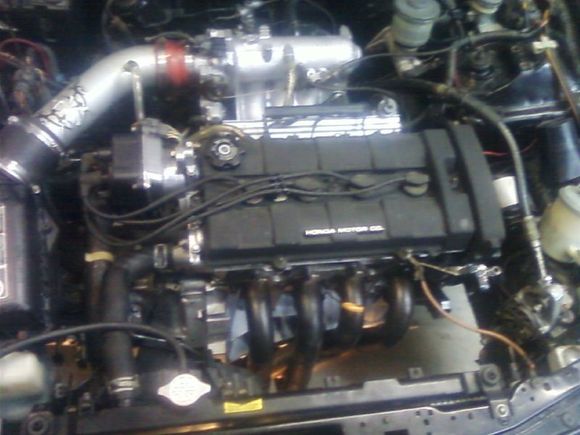 B16a N-Vtec built  (P-75)