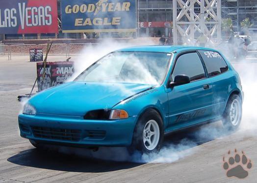 TREVTEC burnout