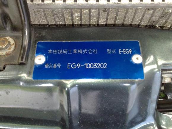 Japanese Body Tag