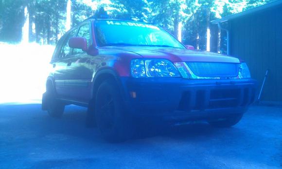 Sittin pretty...