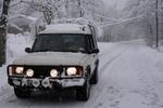 My Disco II
