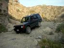 Joshua Tree pics