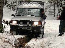 Winter Safari 2010   16