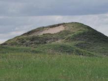 RoveringThe Sandhills WithAmyJune2014 428 (1800x1013)