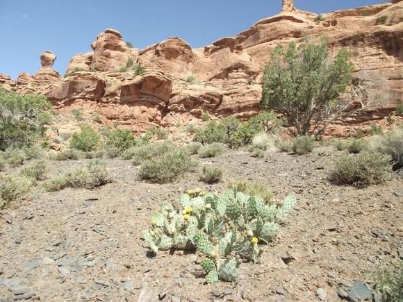 DeloresTriangleMay19,2012 061