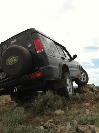 Rover (16)