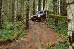 Big Red in Tillamook State park
