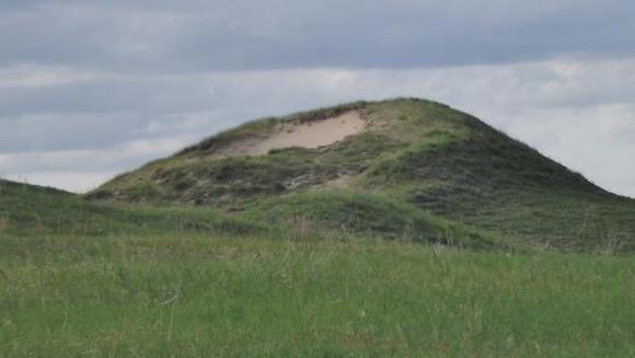 RoveringThe Sandhills WithAmyJune2014 428 (1800x1013)