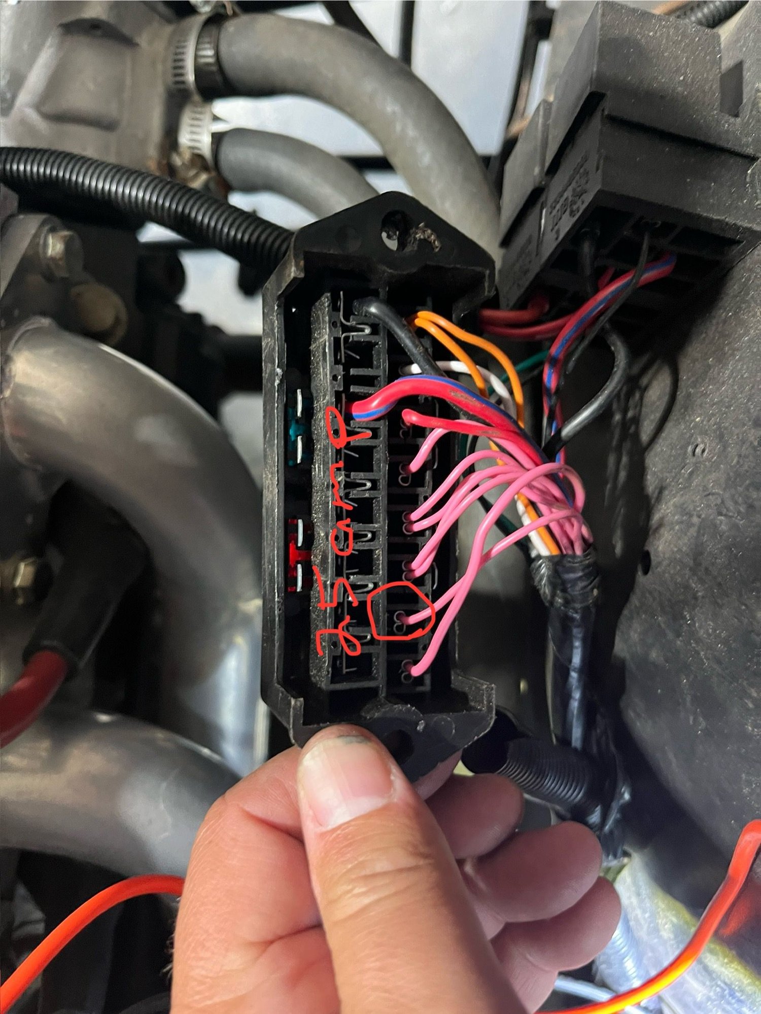 I traced the ignition back to this fuse block on my Chinese harness