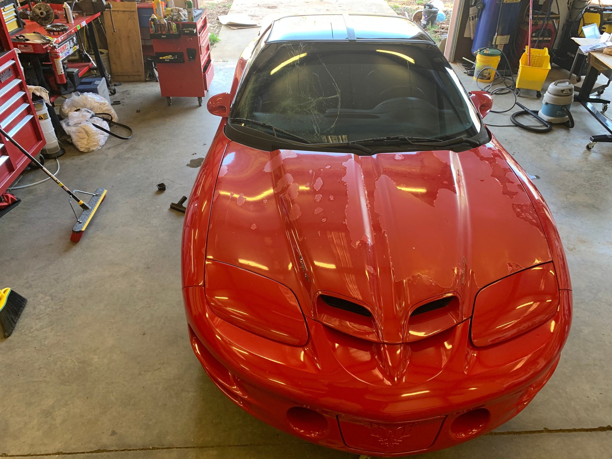 Exterior Body Parts - 2002 trans am ws6 - Used - 1993 to 2002 Pontiac Firebird - Conyers, GA 30013, United States