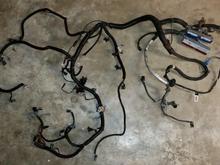 2002 LS1 T56 Engine Harness