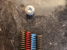 From left to right 
I believe its the factory dod spring.
Red came with the 10295
Blue came with the 10295 to lower pressure 
Last one on the right came out of a stock ls2 pump
Not sure which one to install