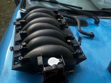 Bare ls1 intake 
225 shipped 