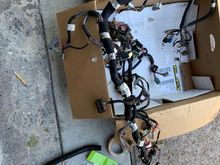 Here is the Mustang main wiring harness out of my donor car.  My harness was in better shape than the harness that came in the coupe and I'd never hacked it up.
