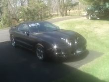 2000 Trans Am WS6