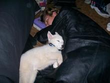Me and Koda napping