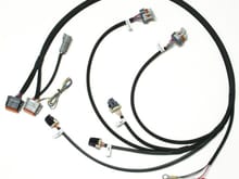 Remote Mount LS1 Harness