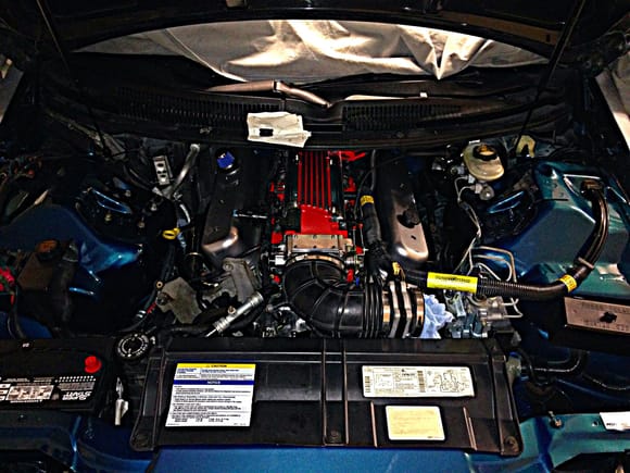 No Slp CAI in these pics yet, but it's powdercoated to match the valve covers. Also ignore the alternator bracket in the pics. It's not there any longer.