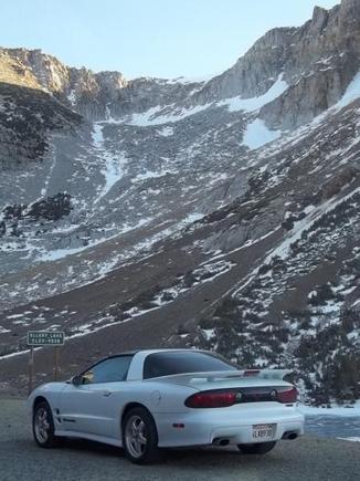 near Tioga pass, Yosemite