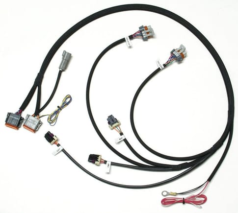 Remote Mount LS1 Harness