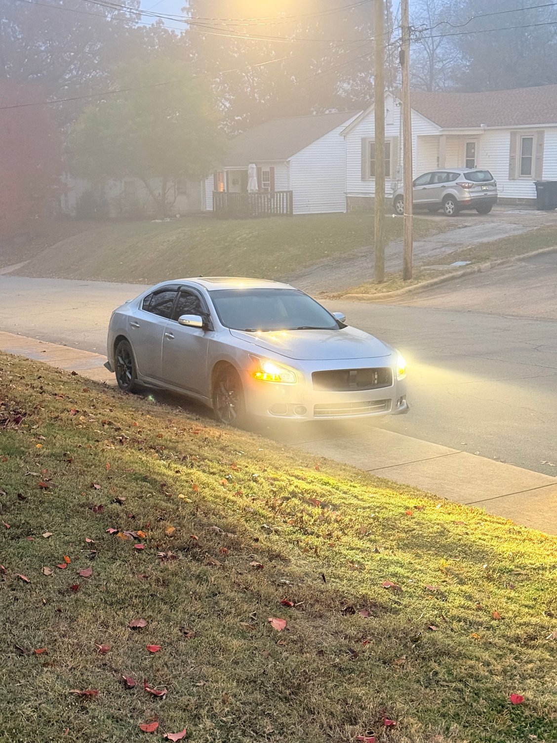 Foggy pic