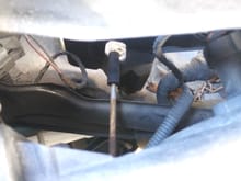 No connector to be found on passenger side
I saw brown plug coming from washer tank but thats it