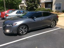 The Grey Ghost