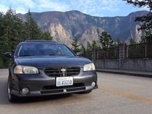 My Post Pictures