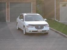 Stock with 18" Axis Halos