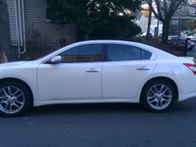 Garage - John McCain