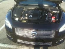 K&amp;N Typhoon Intake and grille