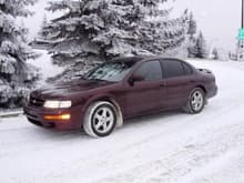 Mr. Max in winter setting.  My second hand man who is number one in my heart!

1997 Nissan Maxima SE fully maxed out with Security and Convenience Package, SE Leather Trim Package, and Cold Weather Package (which as you can see, we need!).