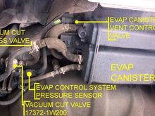 00max evap canister parts