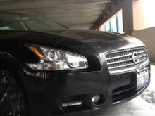 11 maxima