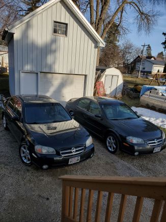 My girls. Black auto. Gray manual. 