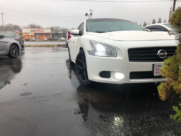 Switchback led turn signals