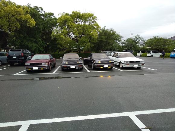 ブルーバードも来ました。