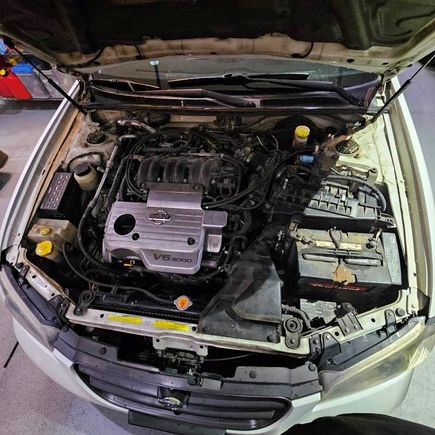 Engine stock, AFE washable dry filter