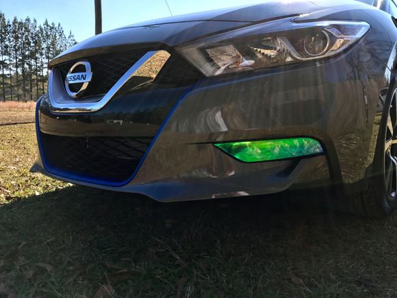 Blue/Green chameleon headlight wrap