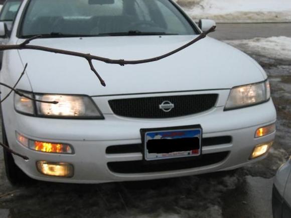 This is how i want my car to look...i want to make the turn signals turn on with the park lights...i got find out how to rewire it...i snapped this photo with the hazards on lol