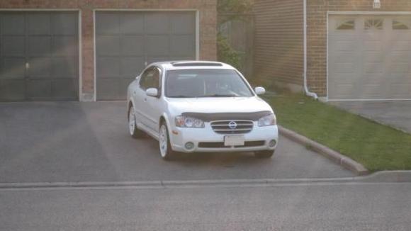 Stock with 18" Axis Halos