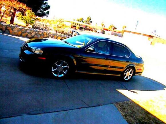 My Maxima