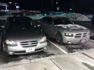 1-19-11 the day i first got her