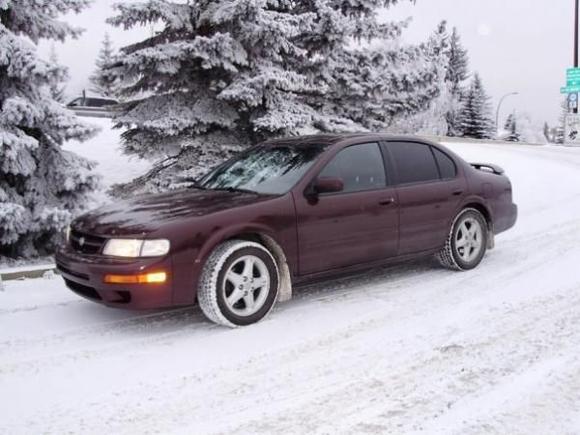 Mr. Max in winter setting.  My second hand man who is number one in my heart!

1997 Nissan Maxima SE fully maxed out with Security and Convenience Package, SE Leather Trim Package, and Cold Weather Package (which as you can see, we need!).