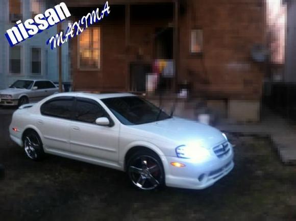 WHITE MAXIMA