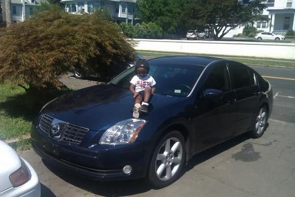 My Whip