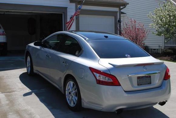 Tinted and Shaved