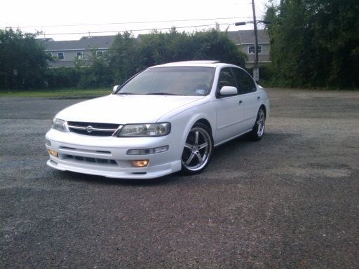 Fresh painted Stillen Lip