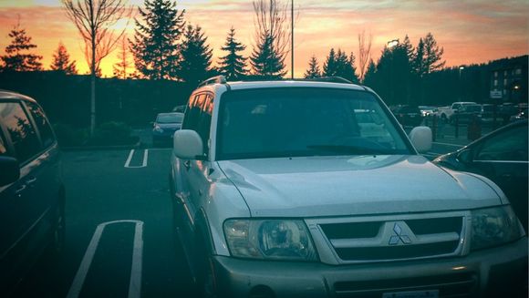 Sitting pretty infront of the sunset